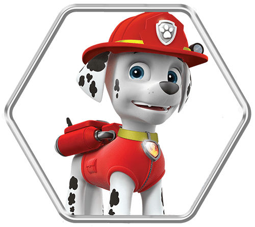 Paw Patrol Live Race to the Rescue | Life Like Touring