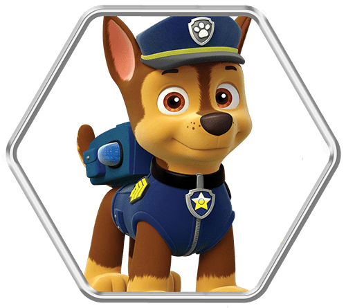 PAW Patrol Live! Race to the Rescue | Like